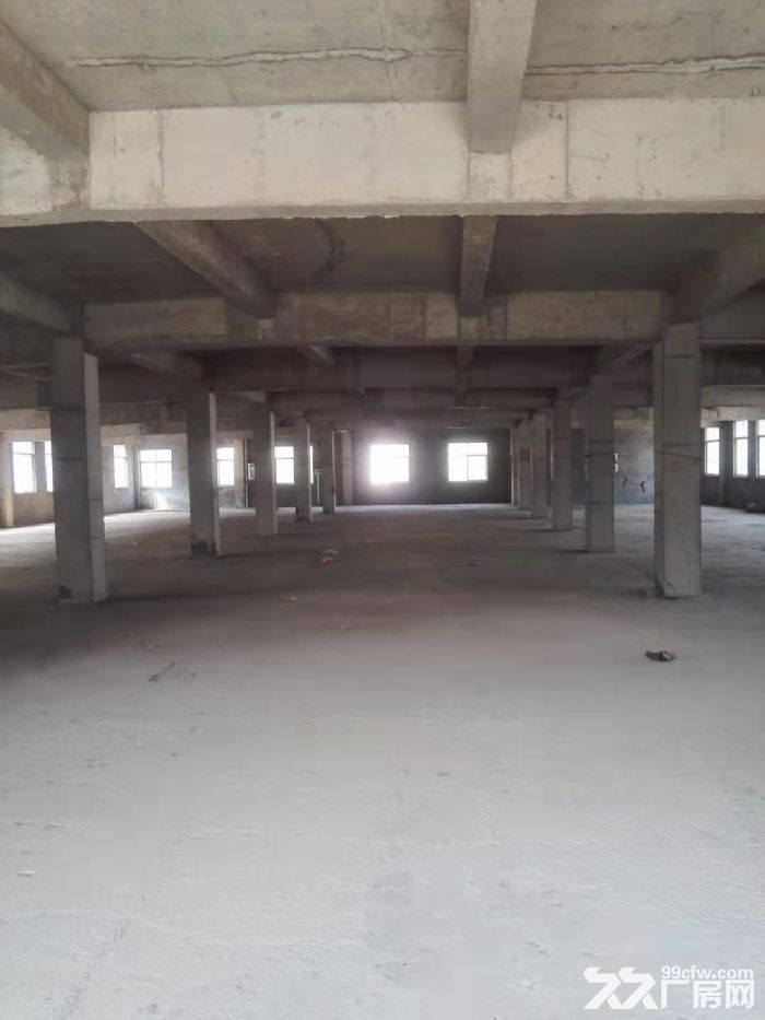 湾里区幸福南路独门独院标准厂房出租-图2