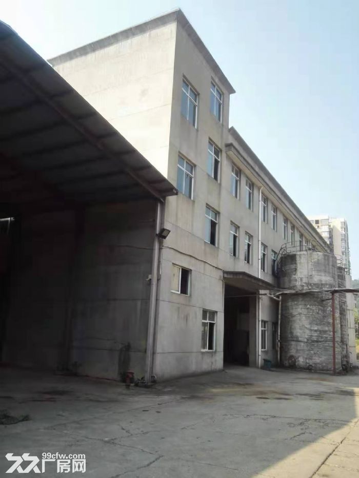 湾里区幸福南路独门独院标准厂房出租-图3