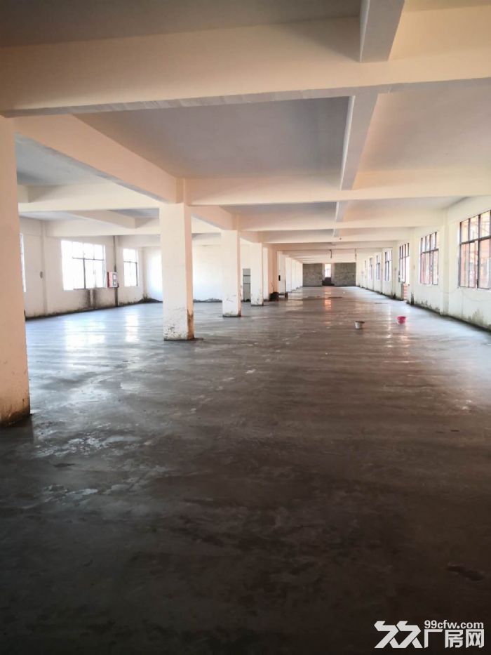 小蓝工业园富山中大道砖混结构个人厂房出租非中介！-图2