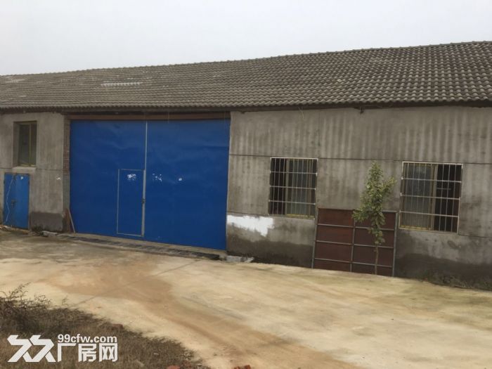 1200平厂房出租，海湾农庄附近-图3