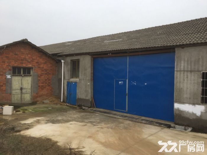 1200平厂房出租，海湾农庄附近-图2