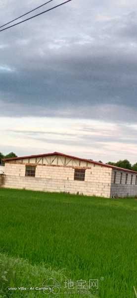 厂房仓库出租长租交通便利，生活配套，环境清幽，2栋厂房带围墙院子