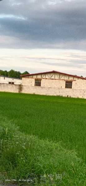 厂房仓库出租长租交通便利，生活配套，环境清幽，2栋厂房带围墙院子-图2