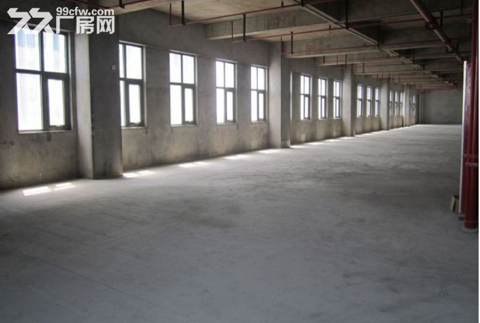 [特惠]小蓝 厂房出租一楼三楼1600平三相电齐全-图2