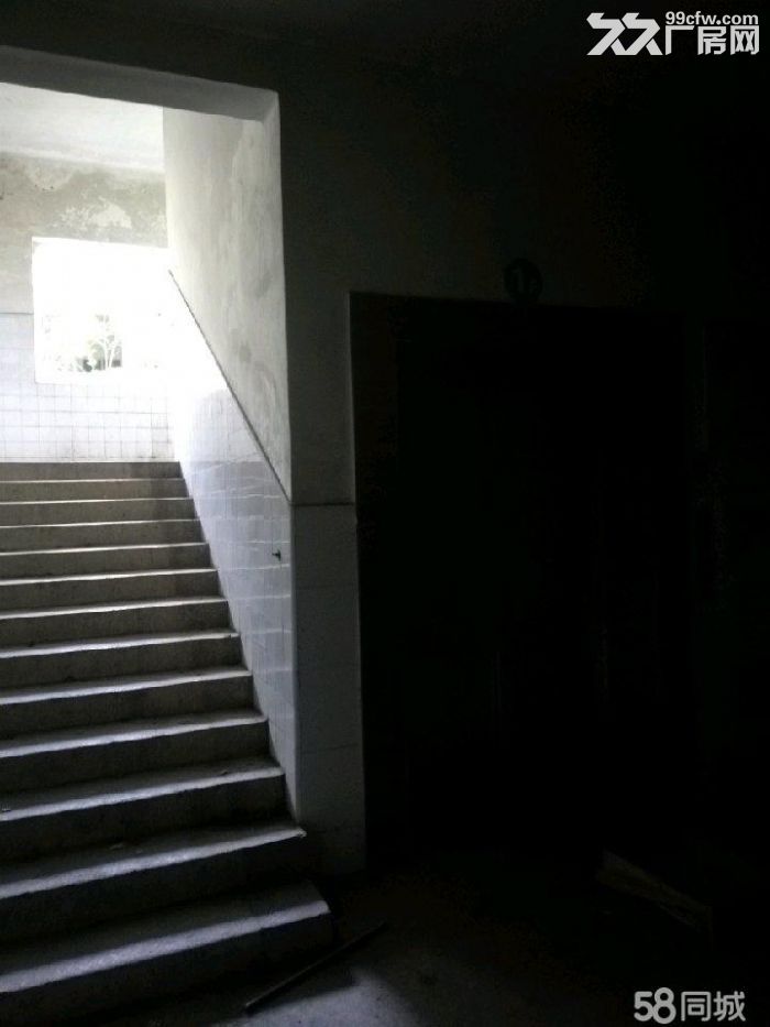 15000平方独院招租，有电梯房5层，适合做养老院，培训学校，宾馆，厂房，仓库。-图3