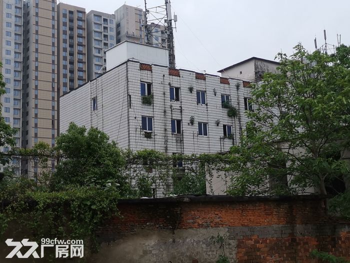 15000平方独院招租，有电梯房5层，适合做养老院，培训学校，宾馆，厂房，仓库。-图7