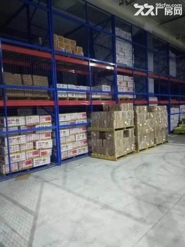 冷库、仓库、厂房租赁-图4