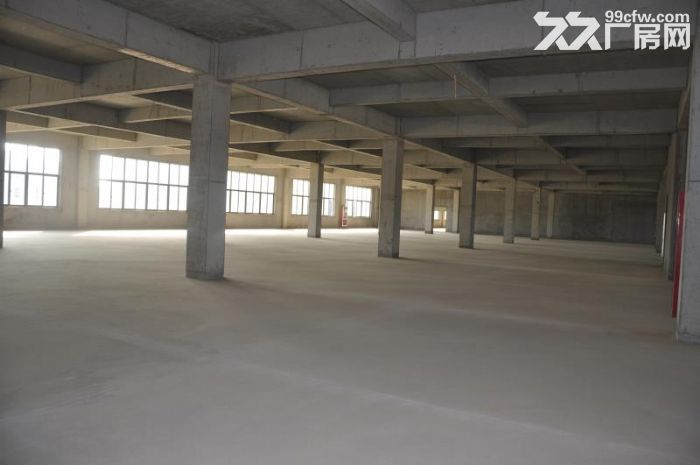 冷库、仓库、厂房租赁-图6