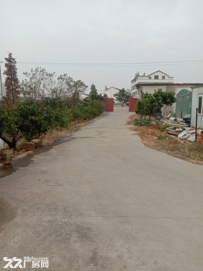 南昌县八一乡桥头300平厂房招租-图2