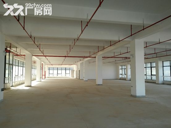南昌新建区 全新标准厂房  1000−50000平米出租出售-图2