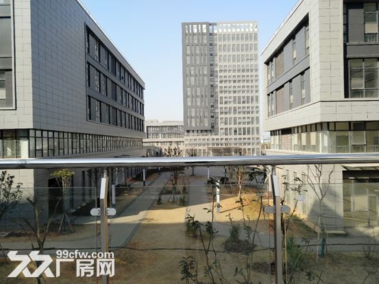 南昌新建区 全新标准厂房  1000−50000平米出租出售-图6