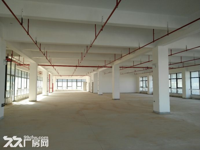 南昌望城新区研发办公厂房出租 |20000平起 | 前三个月免租期