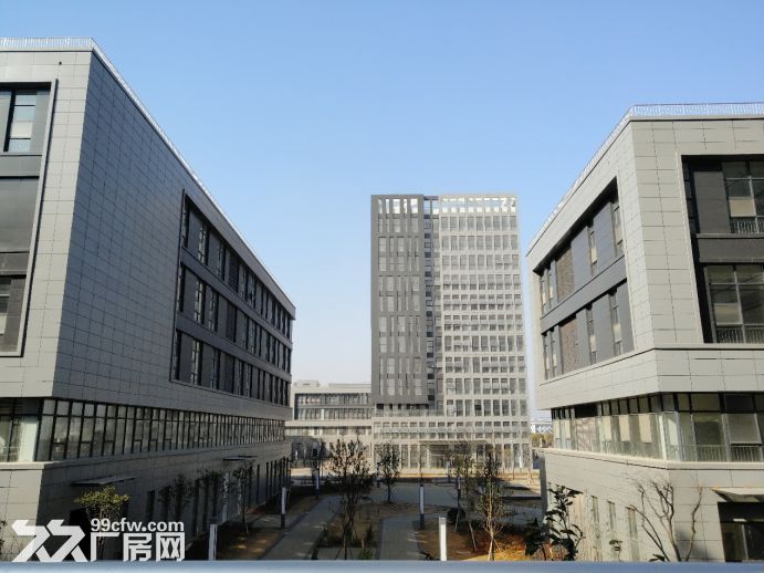 南昌望城新区研发办公厂房出租 |20000平起 | 前三个月免租期-图4