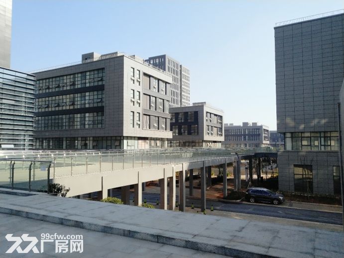 南昌望城新区研发办公厂房出租 |20000平起 | 前三个月免租期-图7